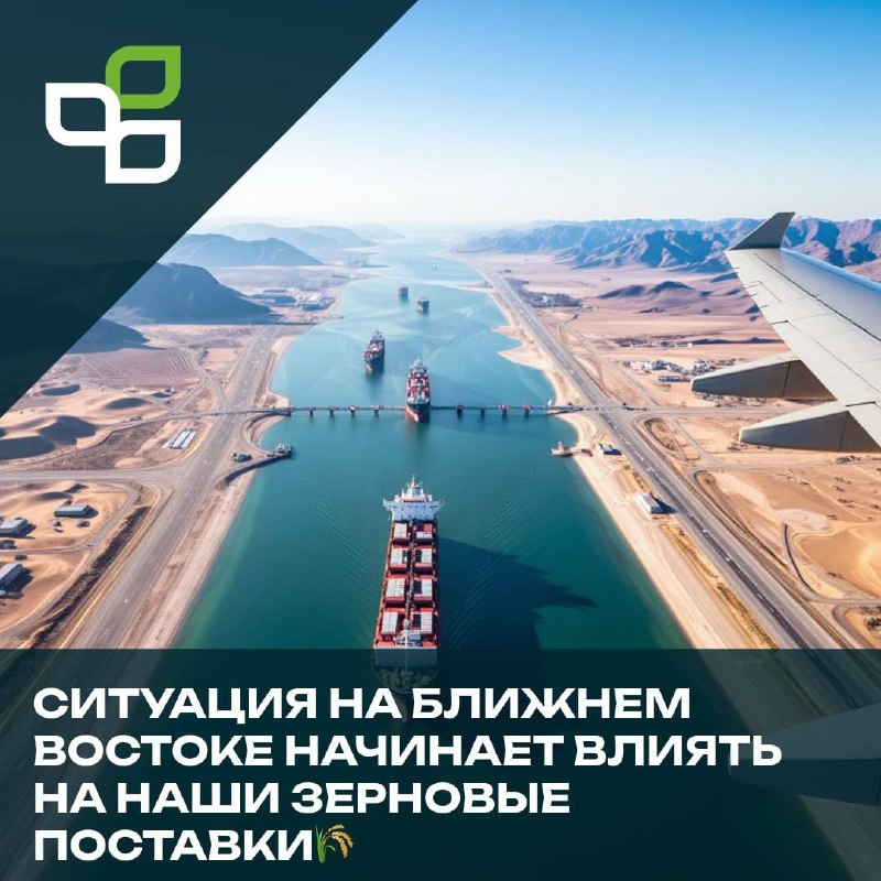 Влияние конфликта на Ближнем Востоке на экспорт зерна