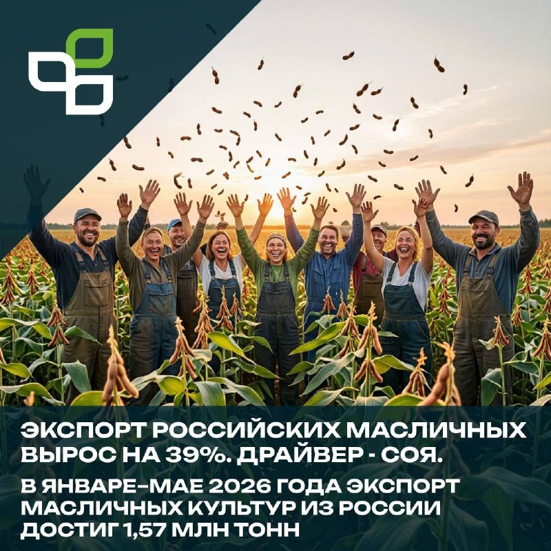 Экспорт масличных культур из России: рост сои и льна, переработка рапса